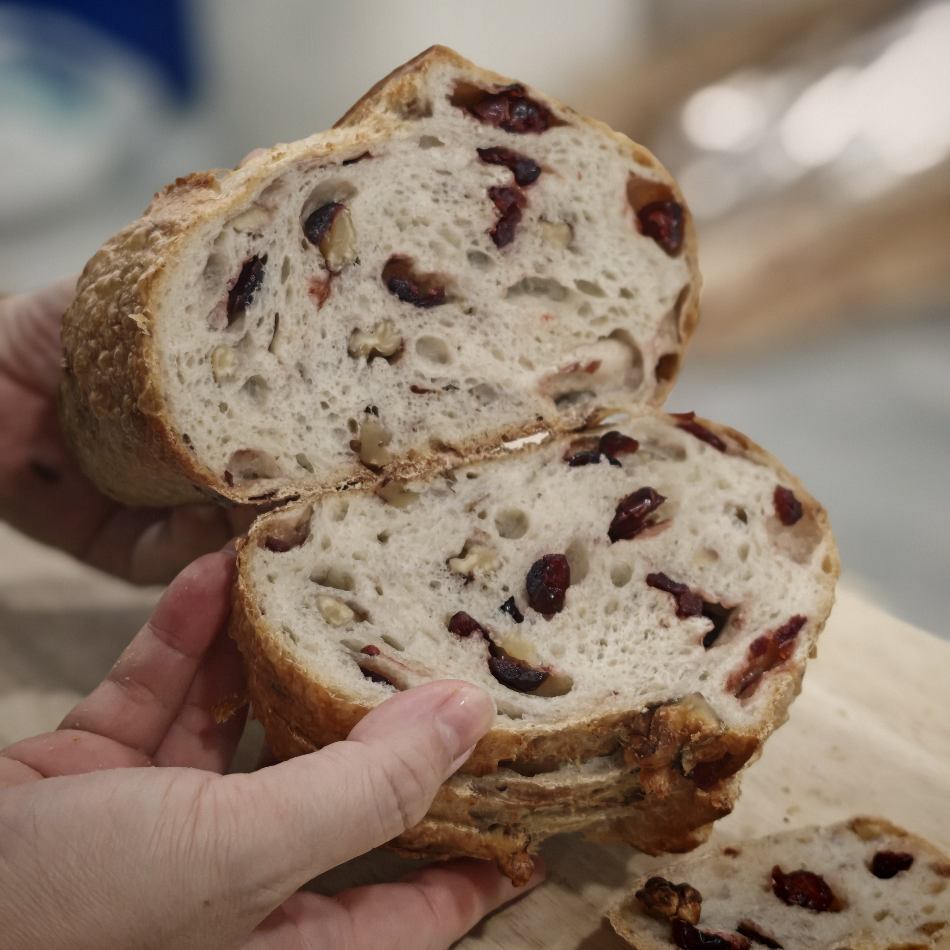 Hand holding sourdough bread show beautiful crumbs studded with cranberries and walnut, on a wooden board background