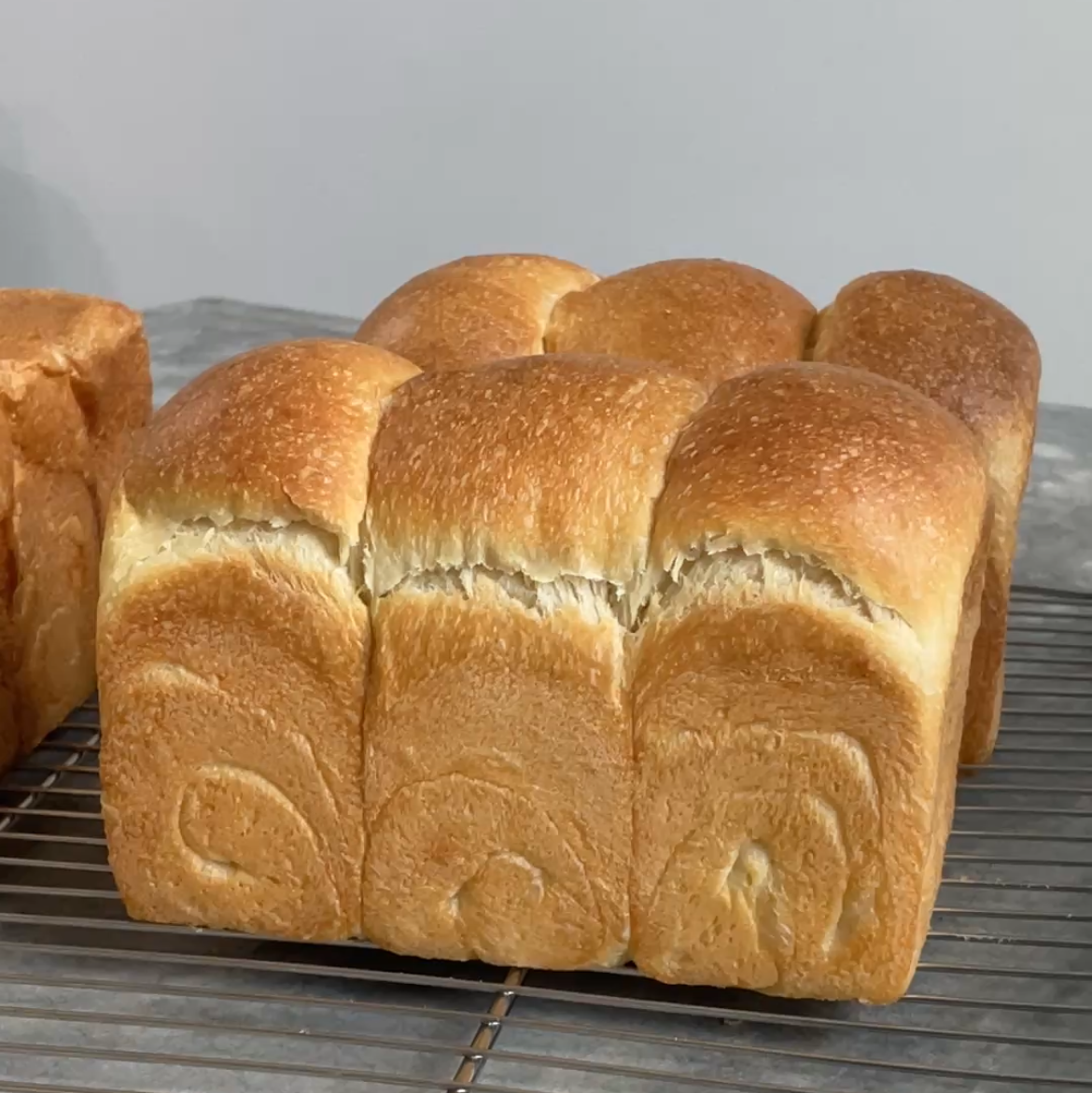 Loaves of bread on a cooling rack with a neutral background